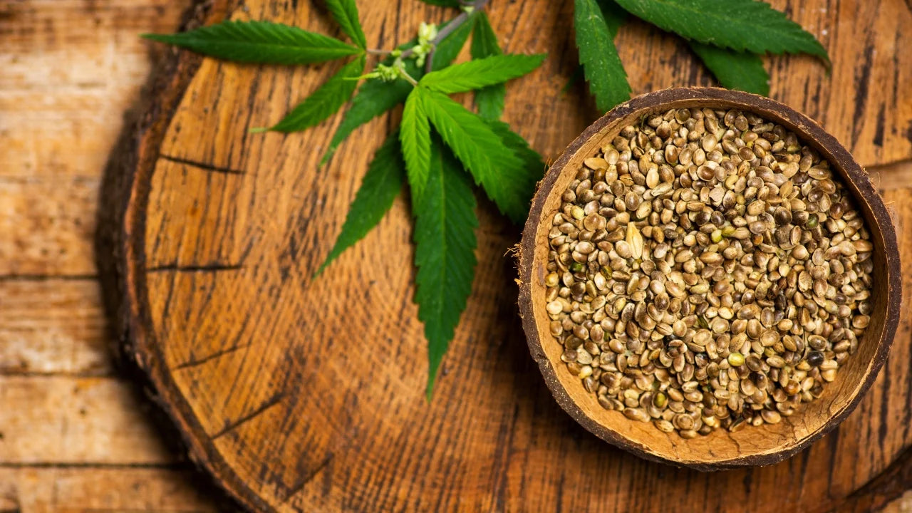 Hemp Seeds