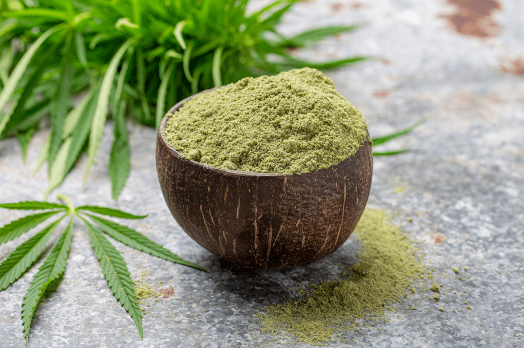 HEMP PROTEIN POWDER